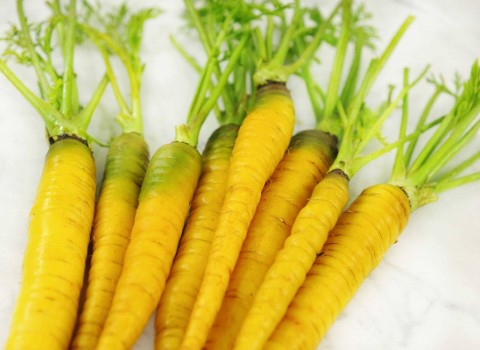 قیمت خرید میوه هویج زرد عمده به صرفه و ارزان